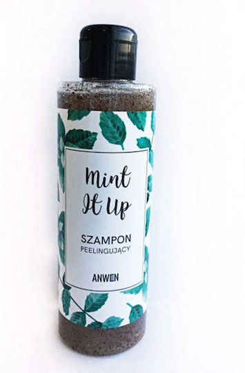 Mint It Up Anti-Schuppen-Shampoo 200 ml