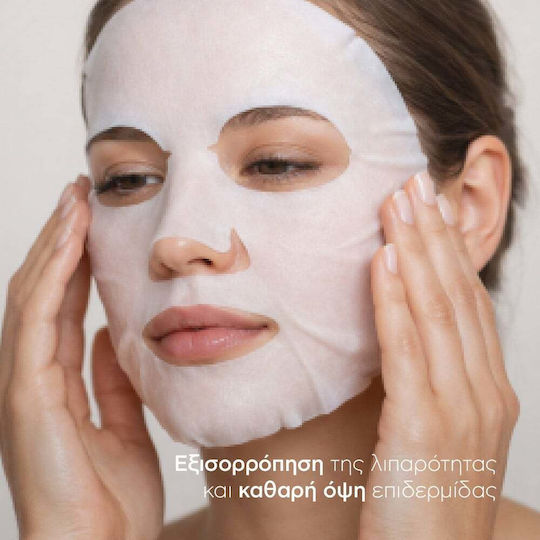 Natura Siberica Biome Sheet Mask