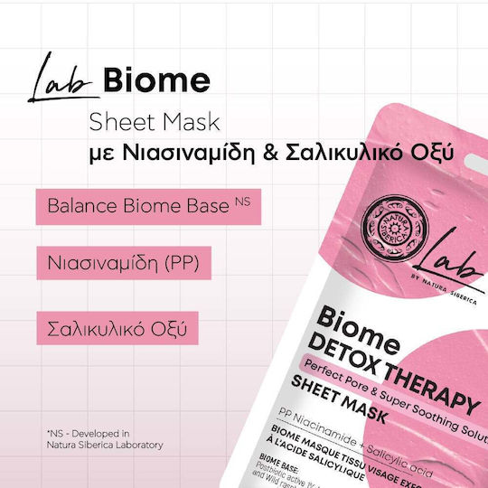 Natura Siberica Biome Sheet Mask