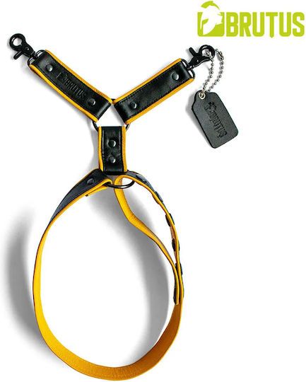 Brutus Immobilization Straps