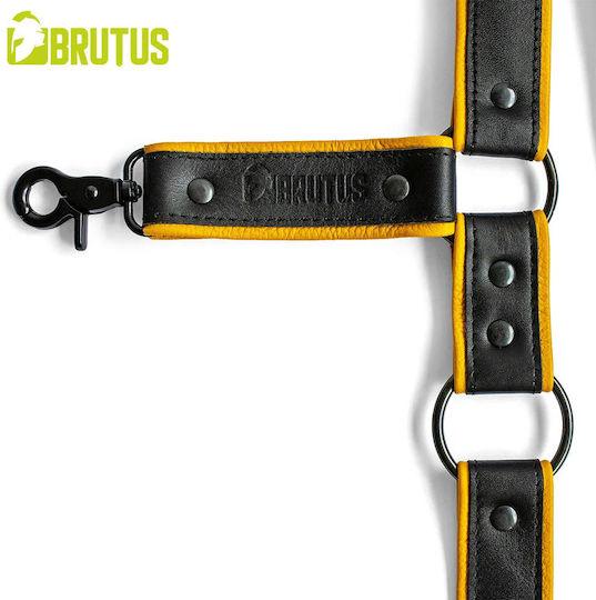 Brutus Immobilization Straps