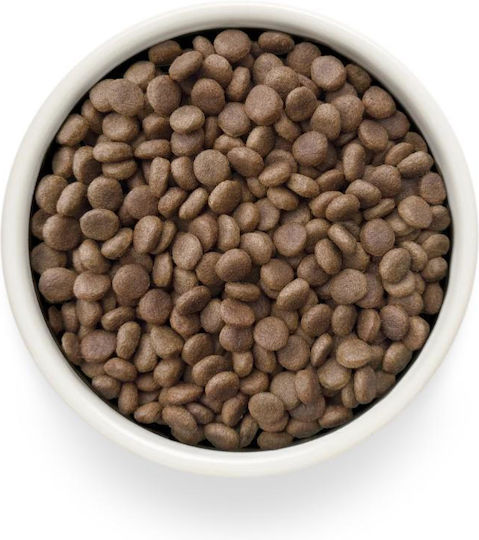 Vet Diet 3kg Light Dry Dog Food with Turkey