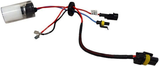 H1 Xenon Lamp 6000 Kelvin Xenon H1 Lamp 6k