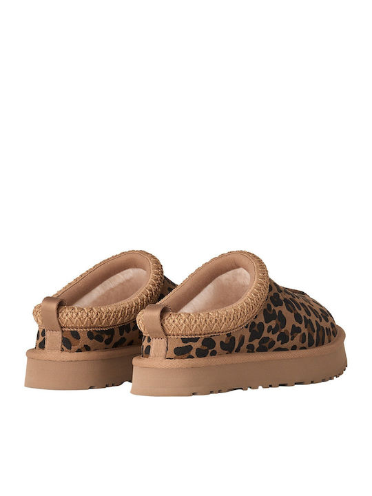 Tazz Spotted Suede Winter Women's Slippers White