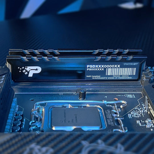 Signature Line Premium DDR5 with Module 1x16GB and Speed 5600 for Desktop
