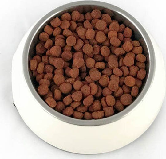 10kg Dry Dog Food for Small Breeds with Beef