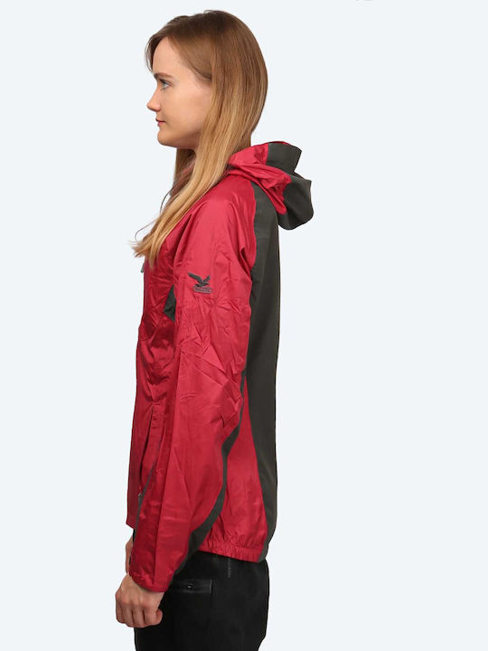 Salewa Salewa