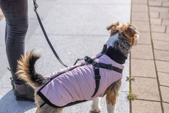 Trixie Pontis Pink Dog Coat Small with 40 cm Back Length