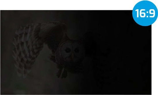 Natec Owl Screen Filter NFP-1477 Privacy 21.5" 16:9