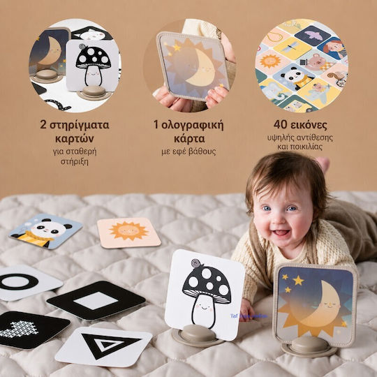 Taf Toys Ζωάκι My 1st Discoveries Flash Cards για Νεογέννητα