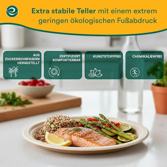 Eco-friendly Disposable Paper Plates 400 Pieces Beige 25 Cm Dishes