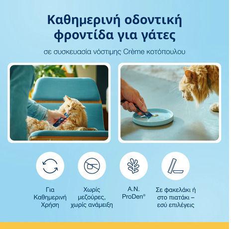 PlaqueOff Cream Treat for Dental Care 10g