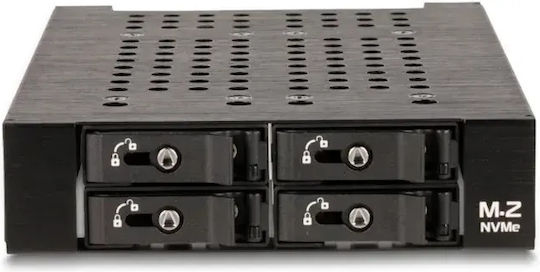 Delock 3.5" Removable Frame 4 × M.2 Nvme Ssds