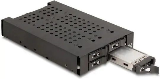Delock 3.5" Removable Frame 4 × M.2 Nvme Ssds