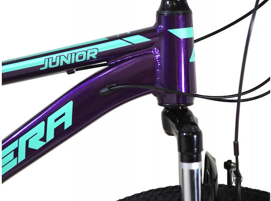 26" Μωβ Mountain Bike με 21 Ταχύτητες