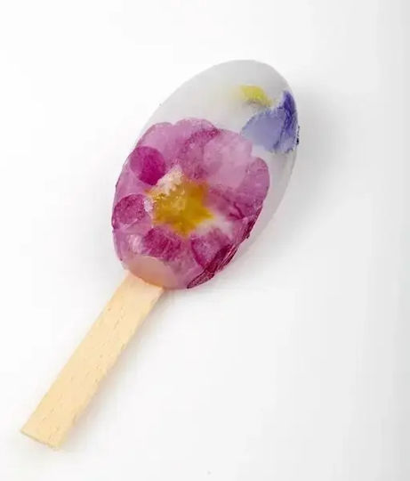 Pavoni Ice Cream/Ice Lolly Silicone Baking Mold