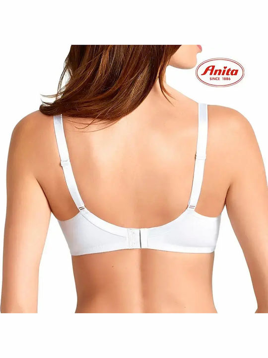 Anita Anita