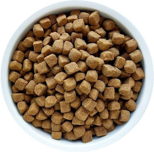 12kg Dry Food for Adult Dogs with Rabbit and Hare