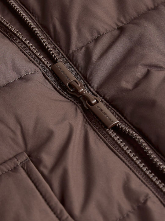 Morlenis Women's Spring/Autumn Jacket Brown