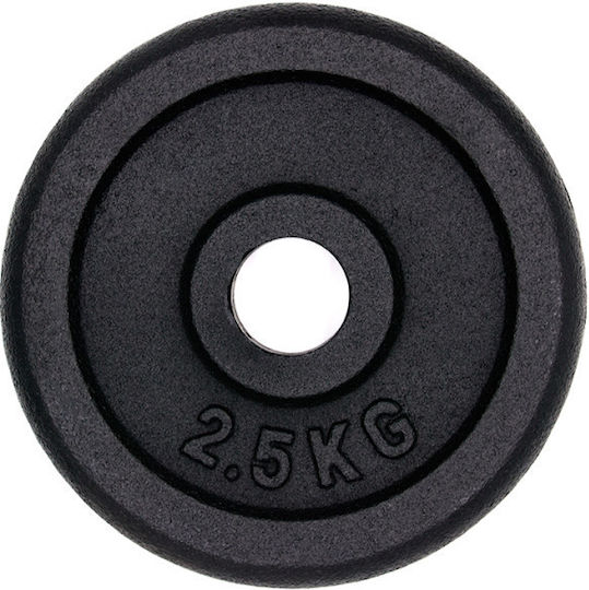 Αθλοπαιδιά Δίσκος Μεταλλικός 1 x 2.5kg Φ29mm