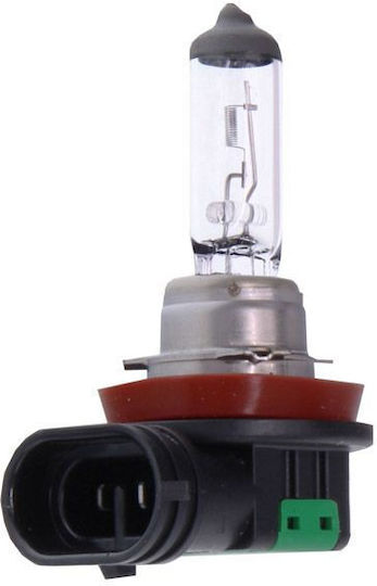Maxgear Autolampe H11 PGJ19-2 Halogen 12V 55W