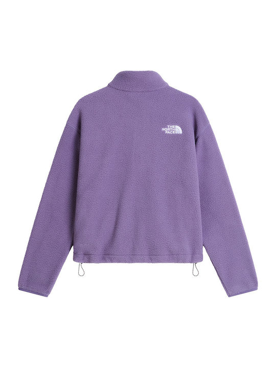 The North Face The North Face
