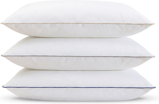 Lino Home 1600000 Lino Home 1600000