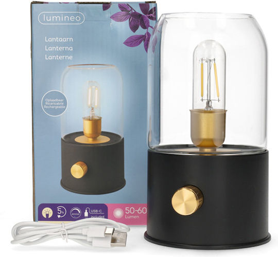 Lumineo Dekorative LED-Leuchte, Warmweißes Laternenlicht 11 × 11 cm