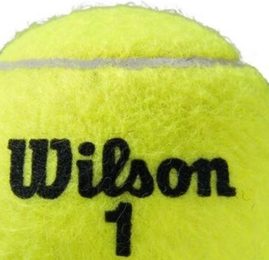 Wilson Roland Garros Clay 3 Ball Can