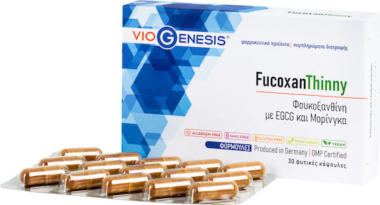 FucoxanThinny 30 Pflanzliche Kapseln
