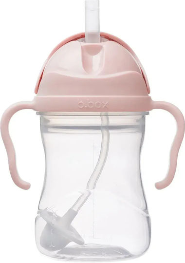 Bildungs-Cup Strohhalm Stroh 6m+ 240ml Sippy Cup Tutti Frutti B.box Bb521