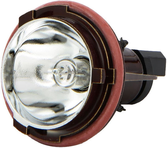 Position Bulb + Socket Angel Eye H10w
