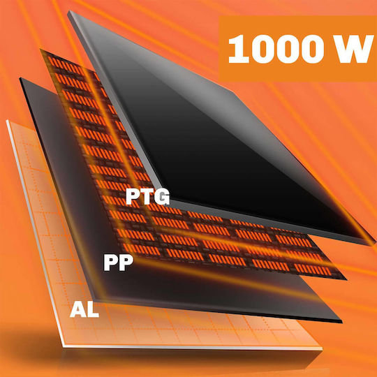 Berdsen Πάνελ Υπέρυθρης Θέρμανσης Τοίχου 1000W Μαύρο 120x60cm