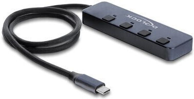 DeLock Hub 10 Θυρών με σύνδεση USB-C Γκρι