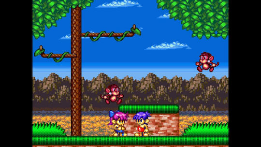 Joe & Mac Retro Collection Switch Game