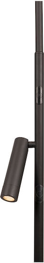 Lucide Lightning Lucide Black Floor Lamp