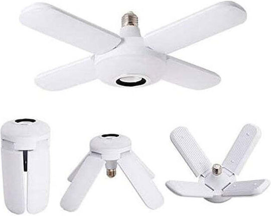 Αccess Decorative LED Light