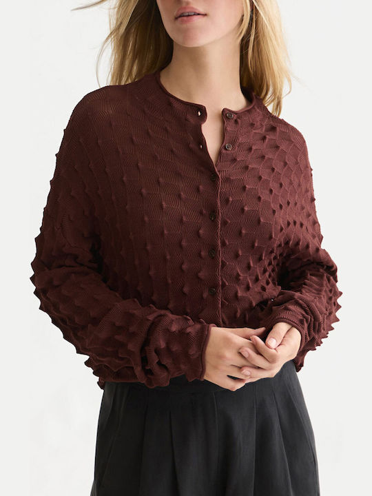 Scotch & Soda Women's Cardigan Bitter Chocolate