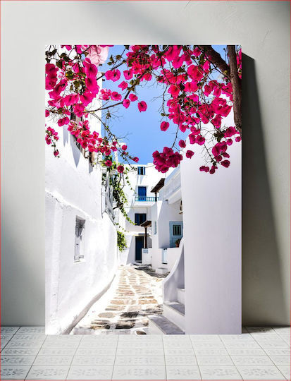 Charming White Alley With Vibrant Pink Flowers Γοητευτικό Λευκό Σοκάκι Με Ζωηρά Ροζ Λουλούδια 1 Charming White Alley With Vibrant Pink Flowers Γοητευτικό Λευκό Σοκάκι Με Ζωηρά Ροζ Λουλούδια 1
