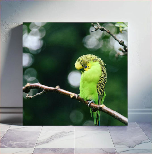 Green Parakeet On A Branch Πράσινος Παπαγάλος Σε Ένα Κλαδί 1 Green Parakeet On A Branch Πράσινος Παπαγάλος Σε Ένα Κλαδί 1