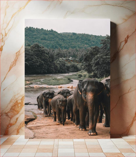 Elephants By The River Ελέφαντες Δίπλα Στο Ποτάμι 1 σε Καμβά