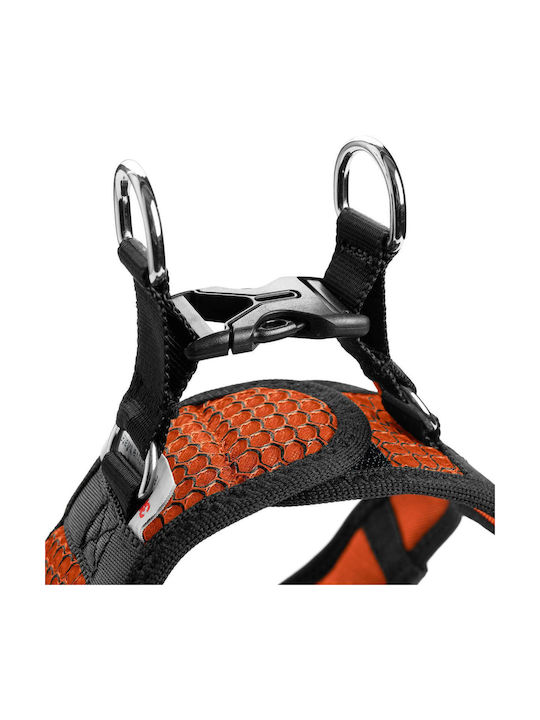 Hunter Dog Harness Hilo Comfort S–M: Neck 48–55 cm