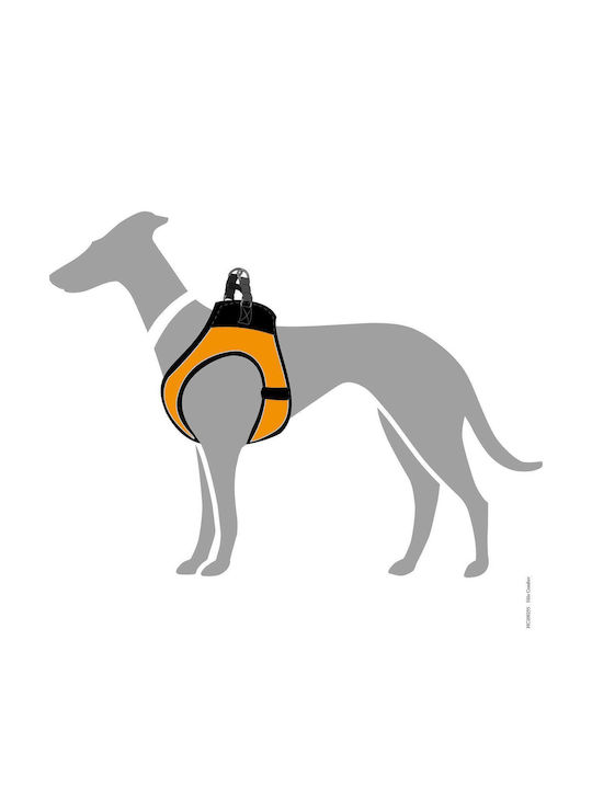 Hunter Dog Harness Hilo Comfort S–M: Neck 48–55 cm