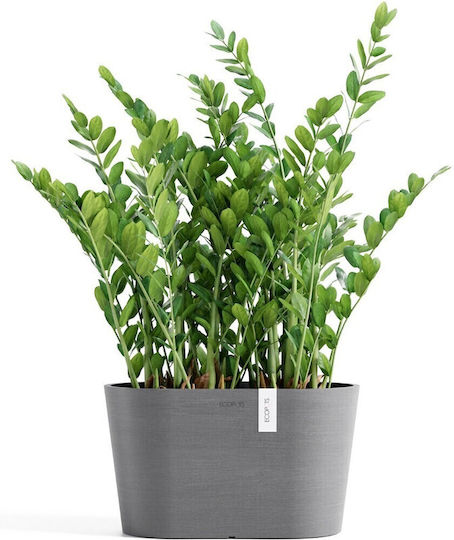 Ecopots Pot Plastic Grey 30x17x17cm.