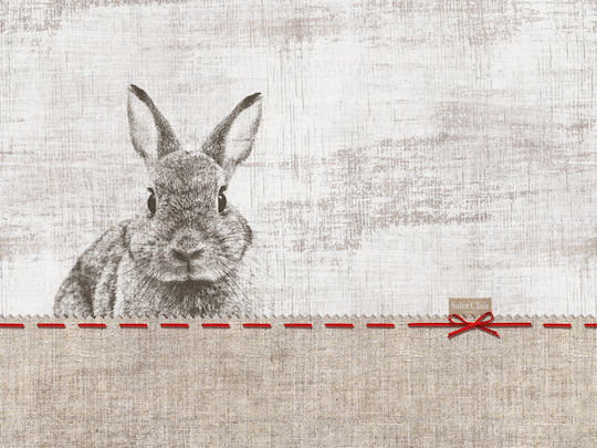 Easter Placemats 10 45x33 Set of 4 Pieces