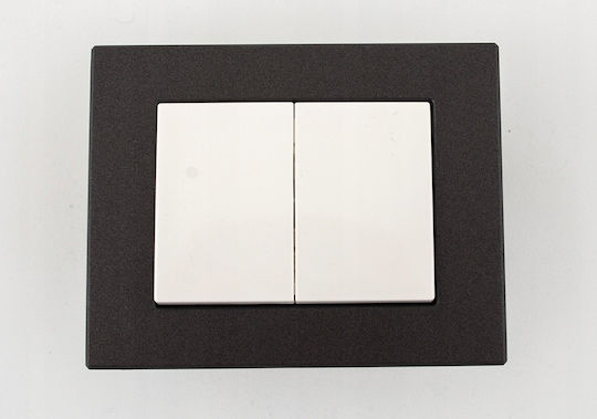 Harry Potter Recessed Double Wall Switch Without Frame White