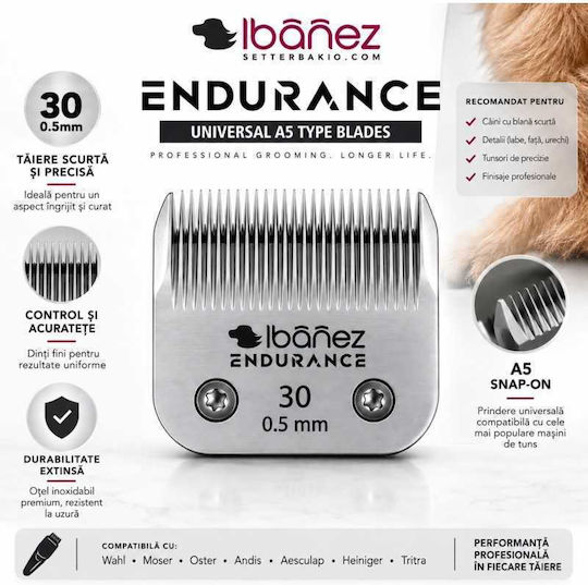Ibanez Επαγγελματική Ανταλλακτική Λεπίδα