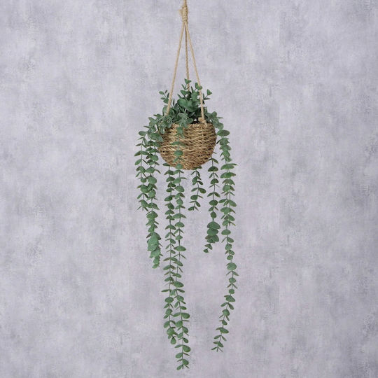 Potted Eucalyptus 78 cm Boltze
