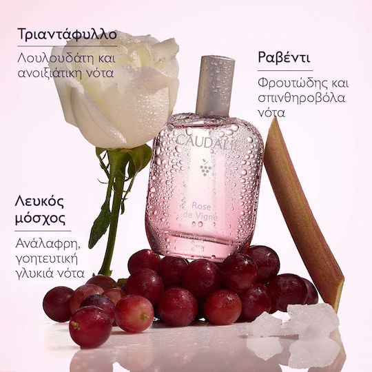 Vigne Fresh Γυναικείο Σετ