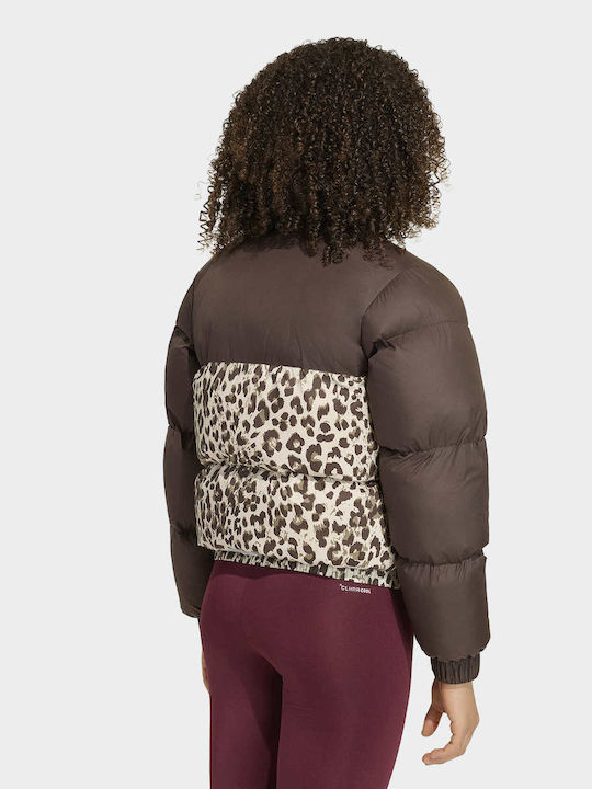 Waterproof Jacket Kids’ Sports Short Windproof Lined Brown